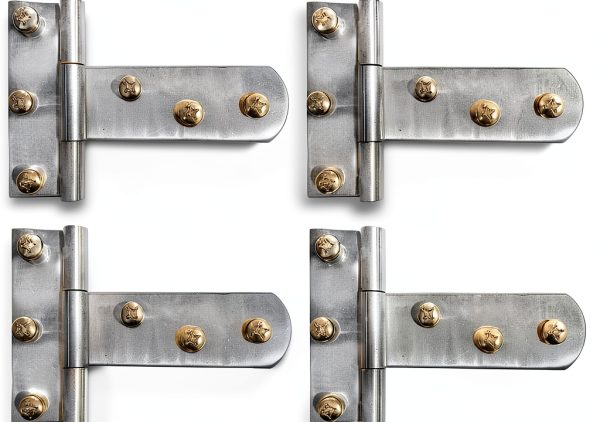 Mytee Products Stainless Steel T Hinges for Trailer Tool Box - Heavy-0
